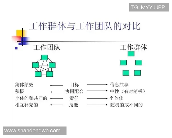 《强化团队协作提升整体效能探索与实践的路径与策略》