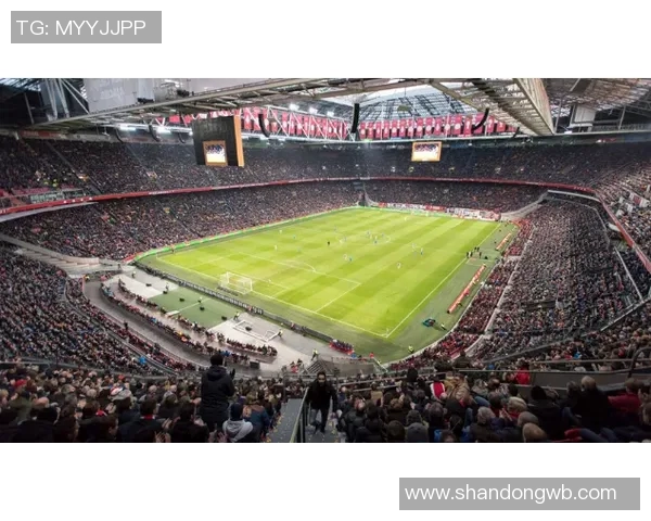 上海排球队耐力提升之路探讨与训练策略分析