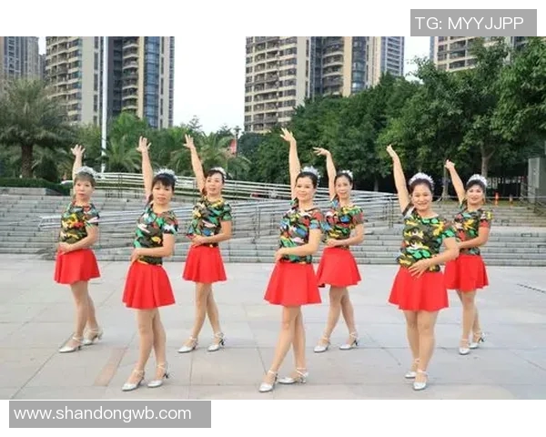 杭州街舞队实力分析与表现评估：数据透视下的舞蹈魅力与团队协作