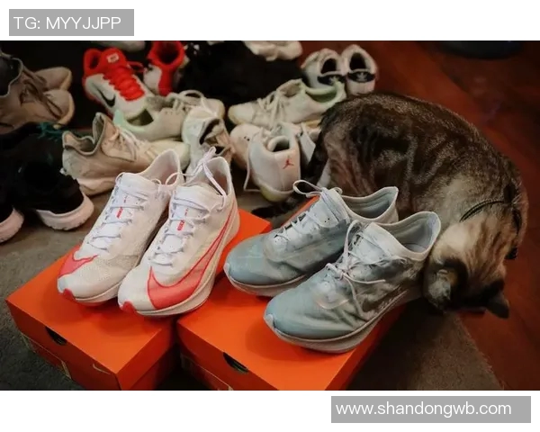 打造专业运动装备购物体验，提升运动表现与生活品质的最佳选择