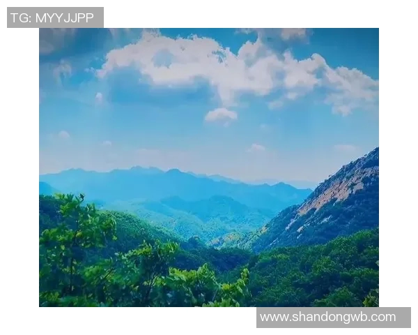 攀岩人生的高峰与低谷陈芳分享她的攀岩旅程与心路历程