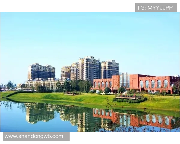 成都羽毛球队转型之路的得与失分析与展望