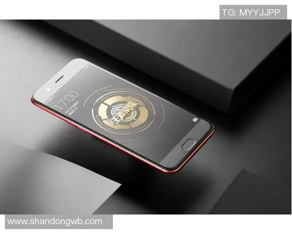 专访张强揭秘王者荣耀成功背后的策略与创新之路