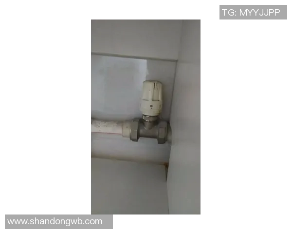 水管阀门的选型与维护技巧全面解析，提升管道系统效率与安全性