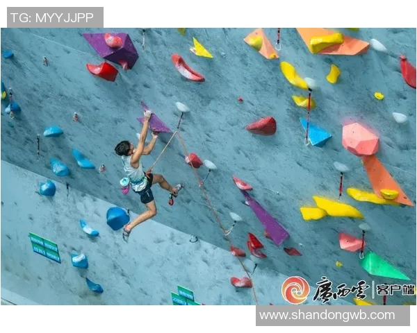 青少年体育发展现状与挑战：促进健康成长的路径与策略探讨