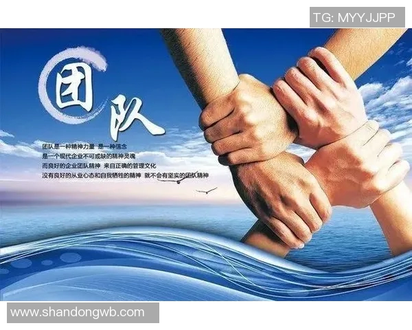 北京乒乓球队在邀请赛中的团队协作表现分析与点评