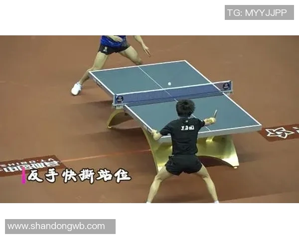 南京乒乓球队防守策略解析：深度探讨乒乓球技艺与战术的结合