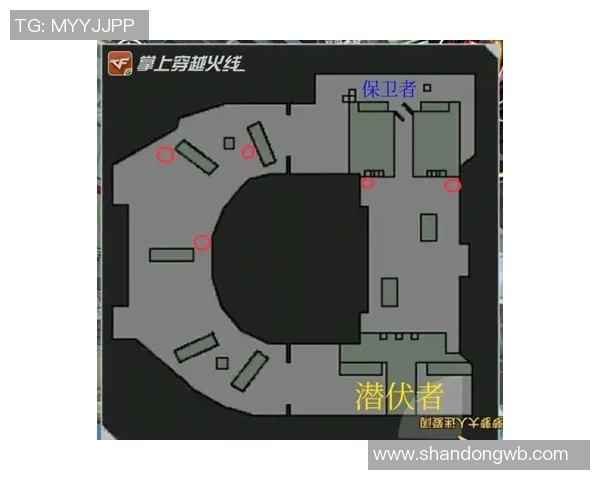 成都乒乓球队的包夹战术揭秘与深度分析探讨 成都乒乓球队的包夹战术揭秘与深度分析探讨