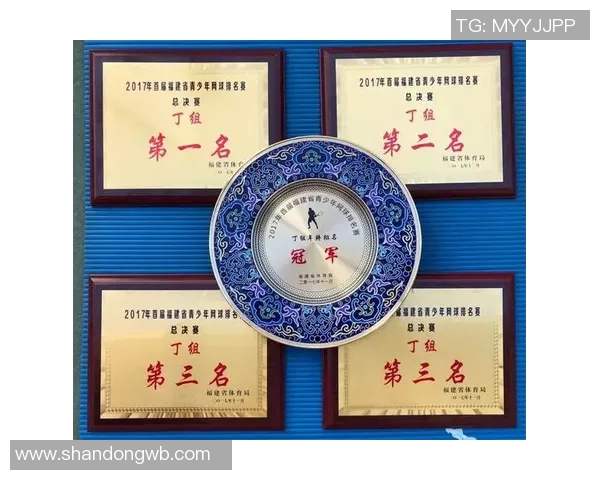 南京网球队与重庆网球队实力对比赛后分析与总结 南京网球队与重庆网球队实力对比赛后分析与总结